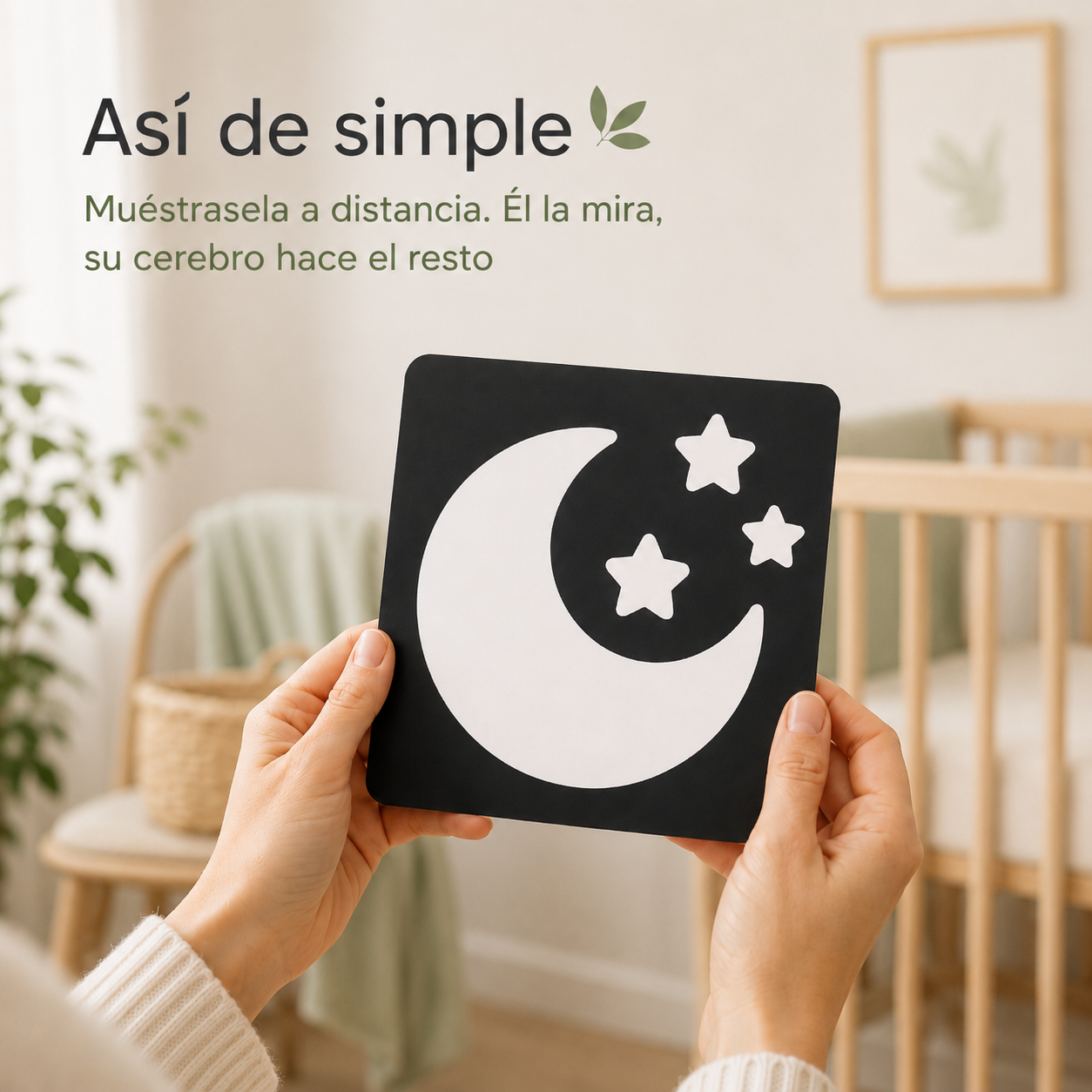 Tarjeta Sensorial Montessori